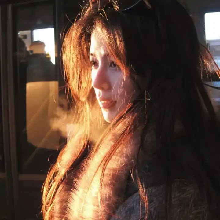 安东妮雅与珍